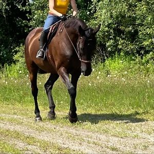 Meet your Posher, Elisha